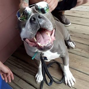 Meet your Posher, John